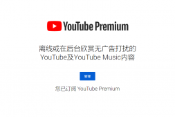 YouTube Premium 家庭会员拼车 不限地区 全球通用